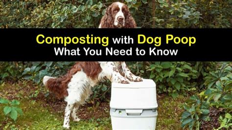 can i use dog poop for fertilizer|Dog Poop Compost: A Guide to Turning Waste into Fertilizer.